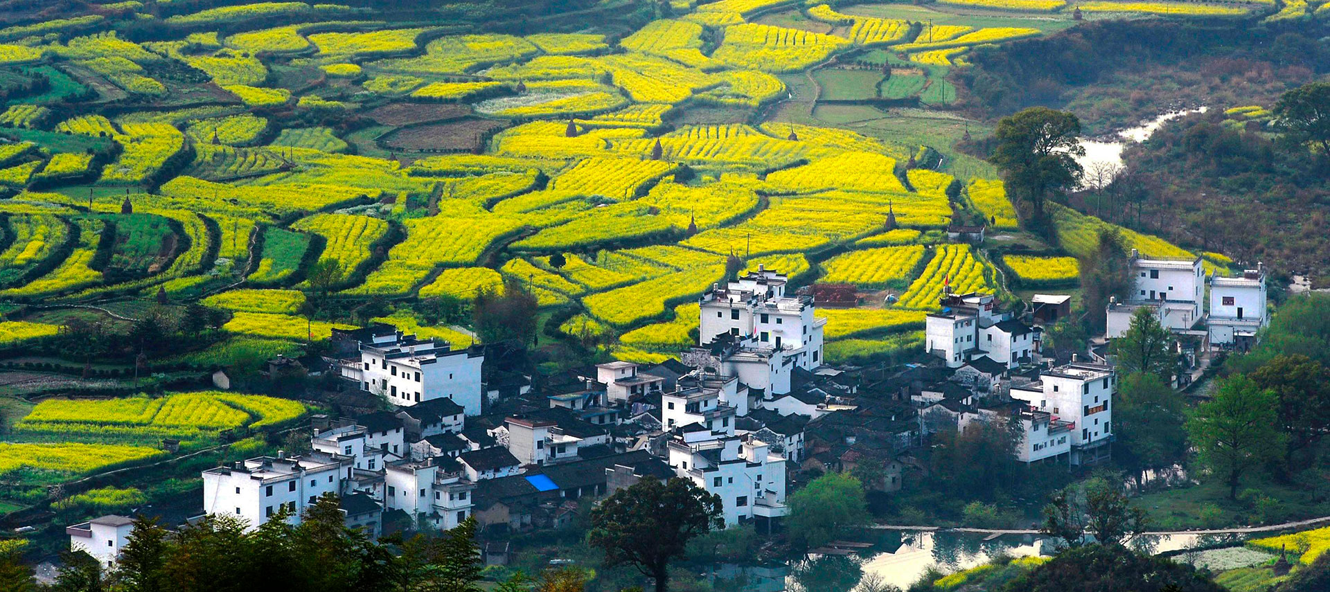 美麗鄉村